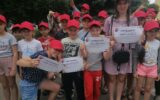 Организация летнего отдыха в пришкольных лагерях Жирновского муниципального района